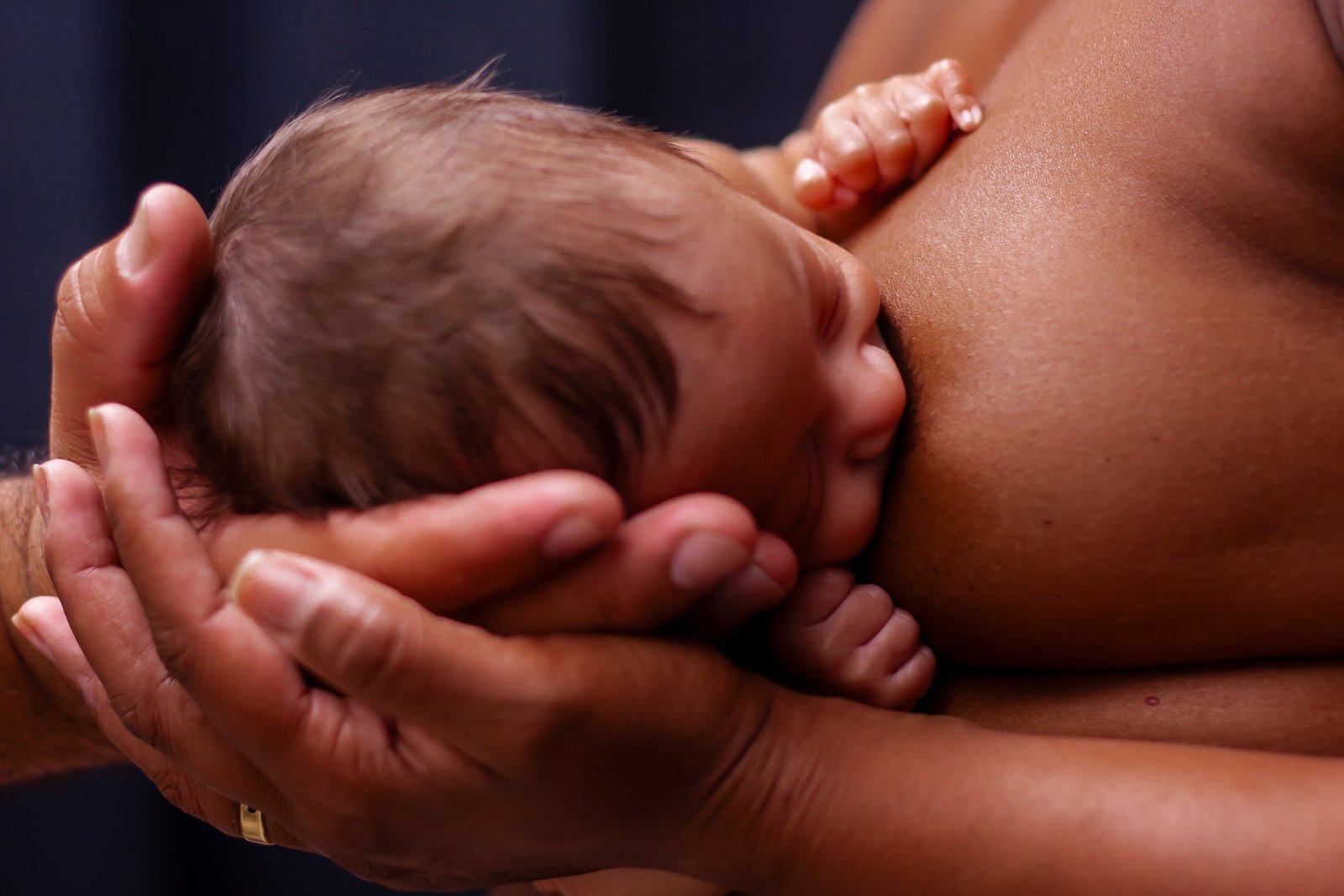 Fotografia de Família